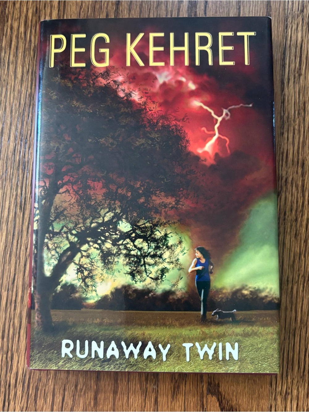 Runaway Twin by Peg Kehret - Hardcover Book